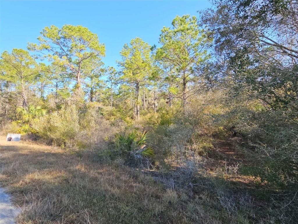 12639 W Checkerberry Dr., Crystal River, FL 34428
