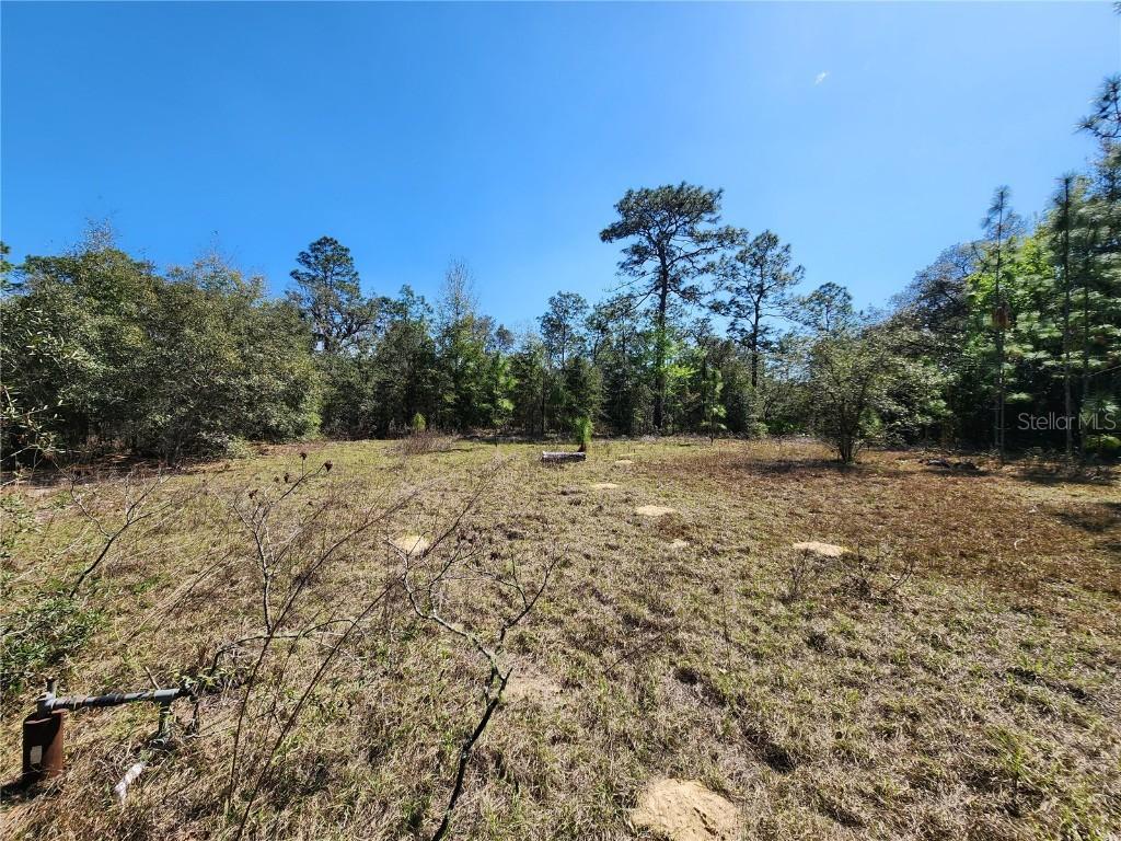 2571 SW 167 Ave., Ocala, FL 34481
