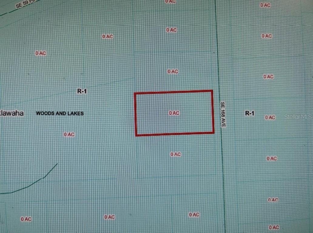 SE 168 Null Ave., Ocklawaha, FL 34491