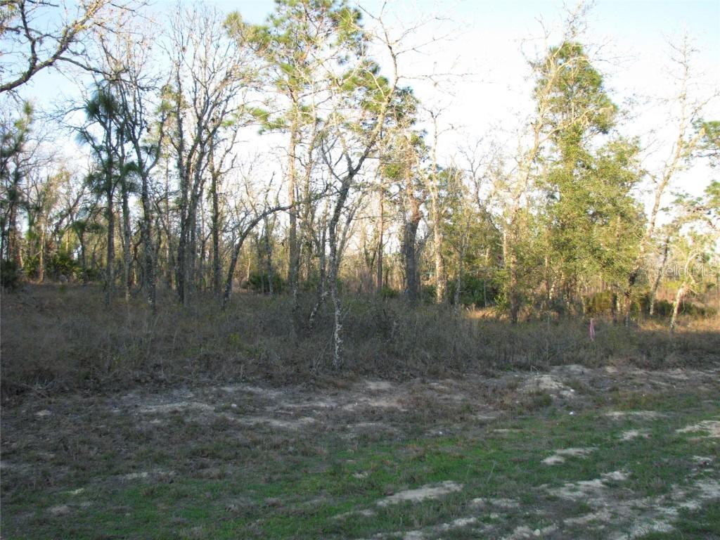 Lot 18 SW 62nd St., Ocala, FL 34481