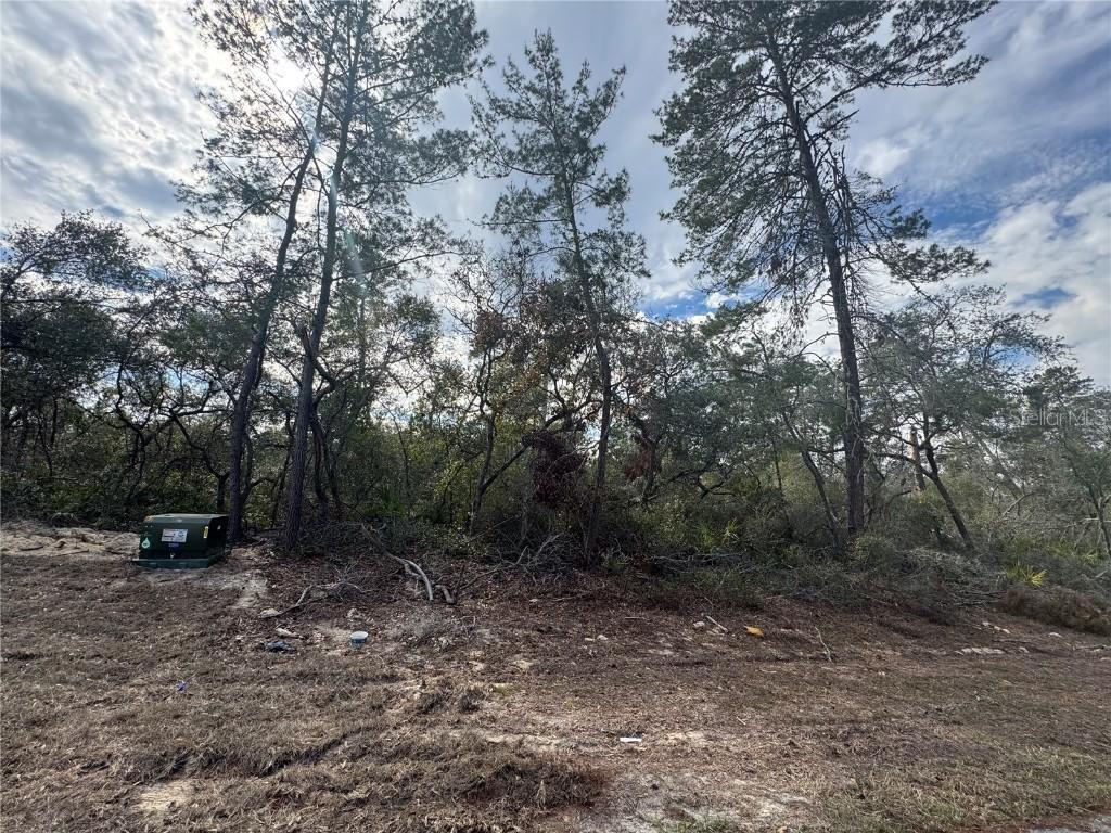 SW 25th Ct., Ocala, FL 34473