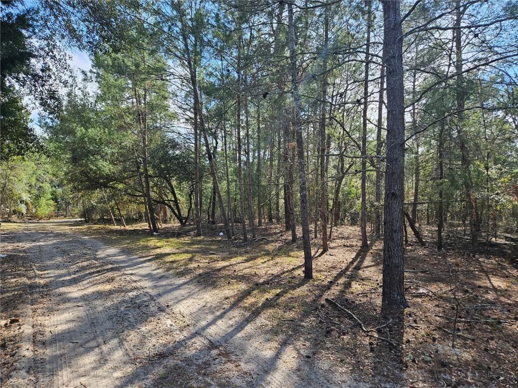 11391 SE 4th St., Williston, FL 32696