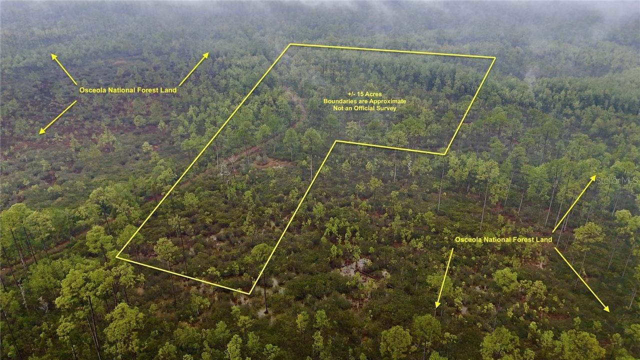 Sr-2, Sanderson, FL 32087