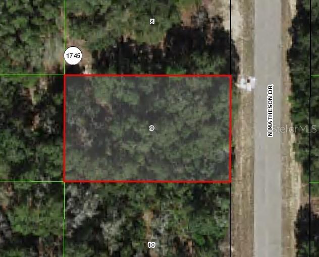 6002 N Matheson Dr., Citrus Springs, FL 34434