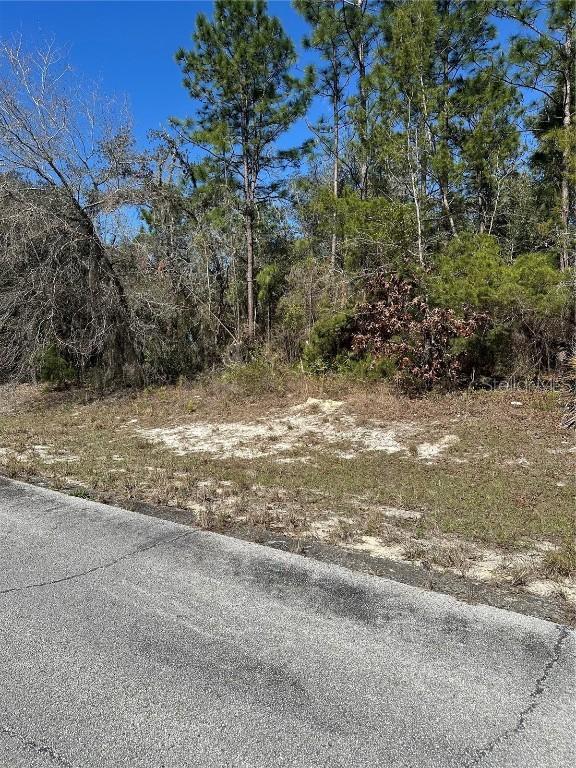 SW 77 Th Terrace, Ocala, FL 34473