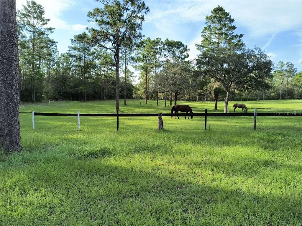 7471 W Quiana Ln., Dunnellon, FL 34433