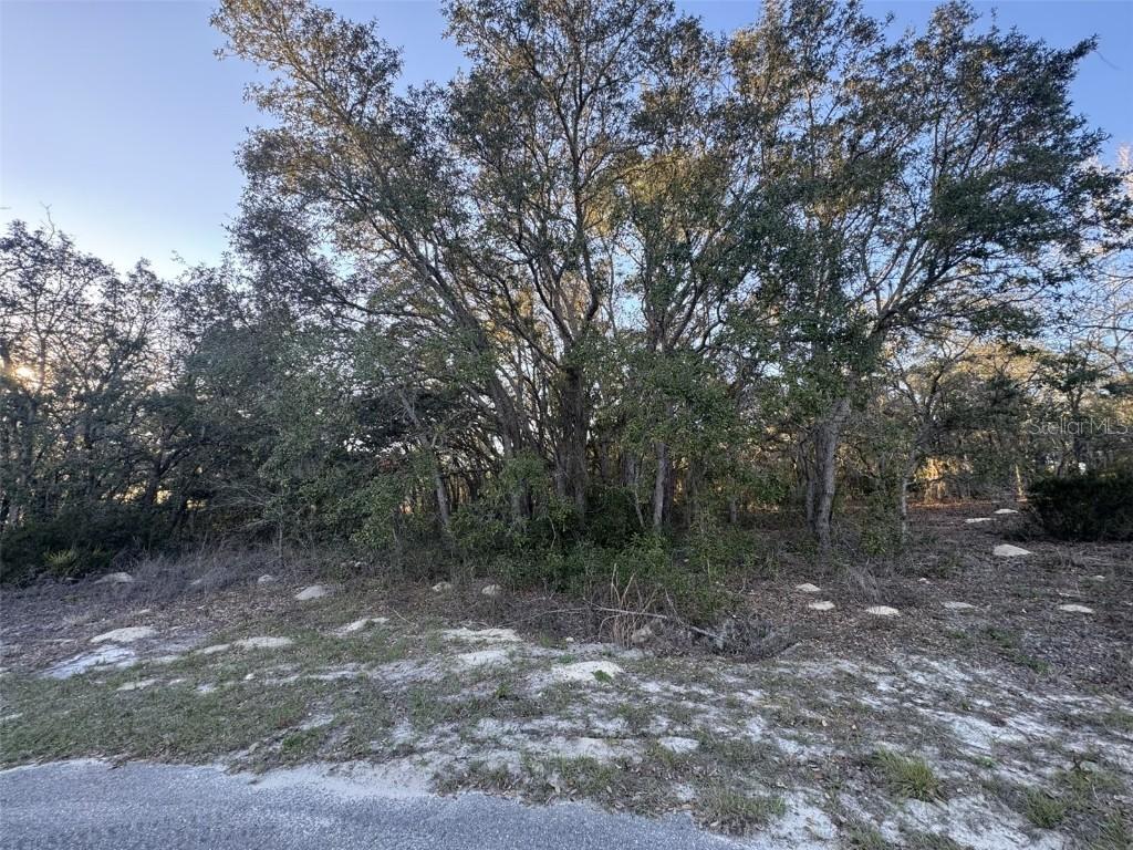 SW 147th Street Rd., Ocala, FL 34473