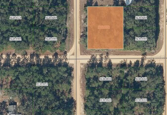00 Norman Ave., Interlachen, FL 32148