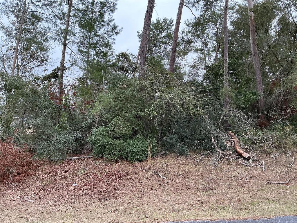 000 SW 162nd Pl., Ocala, FL 34473