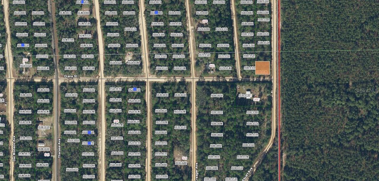 Diane St., Interlachen, FL 32148