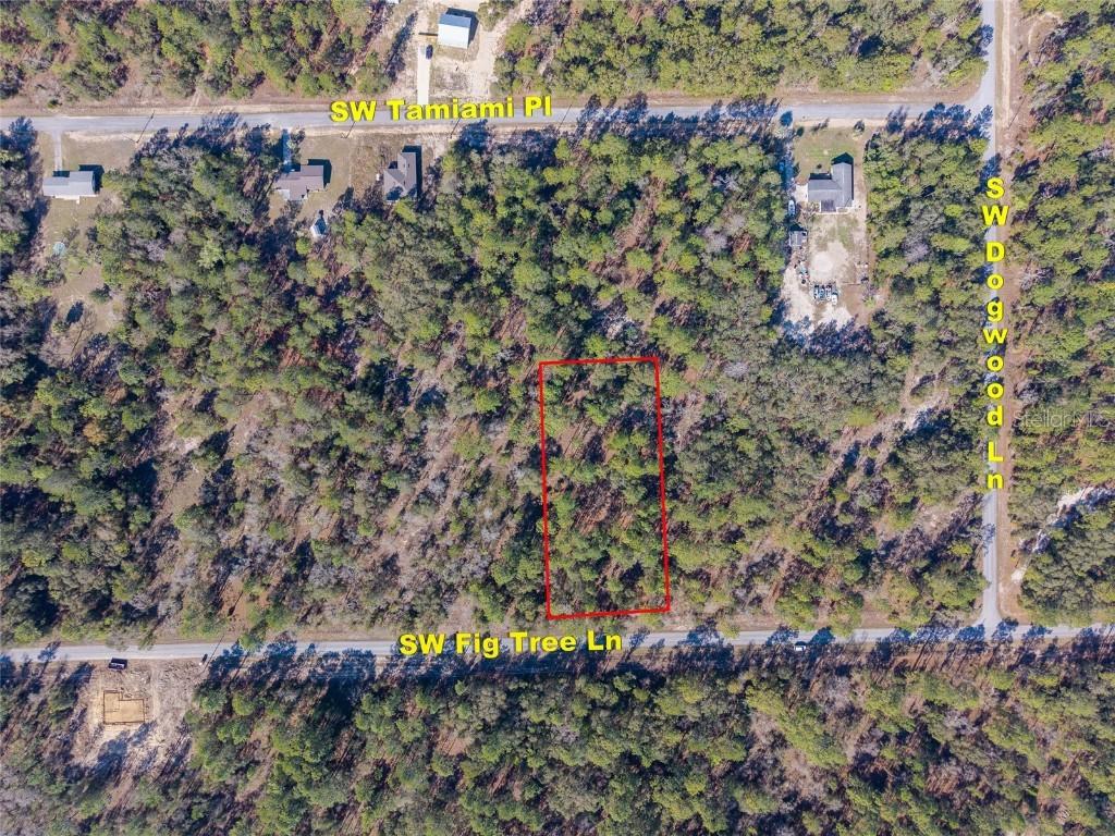Lot 4 SW Fig Tree Ln., Dunnellon, FL 34431