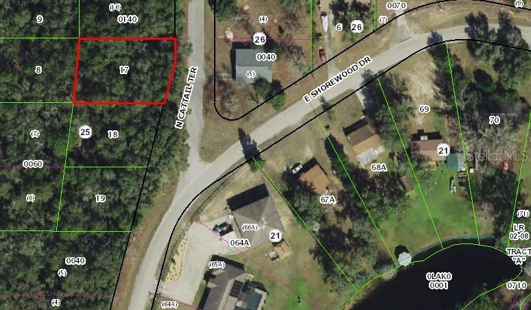 6600 N Cattail Ter., Hernando, FL 34442