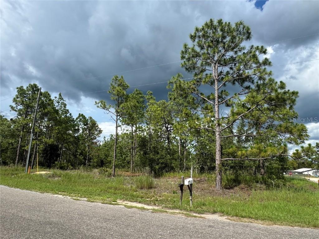 Guava Pass, Ocklawaha, FL 32179