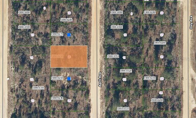 00 April Ave., Interlachen, FL 32148