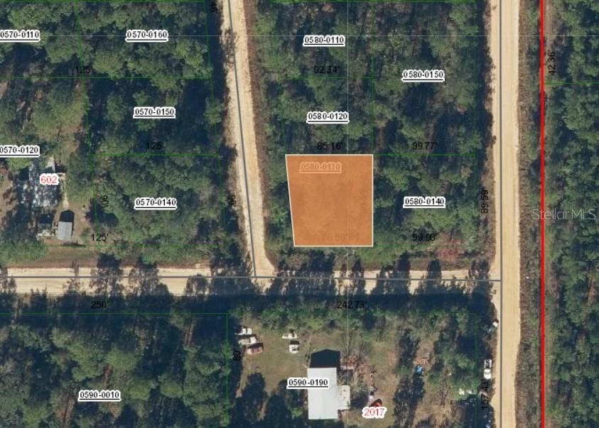 Lot 13 Selma Ave., Interlachen, FL 32148