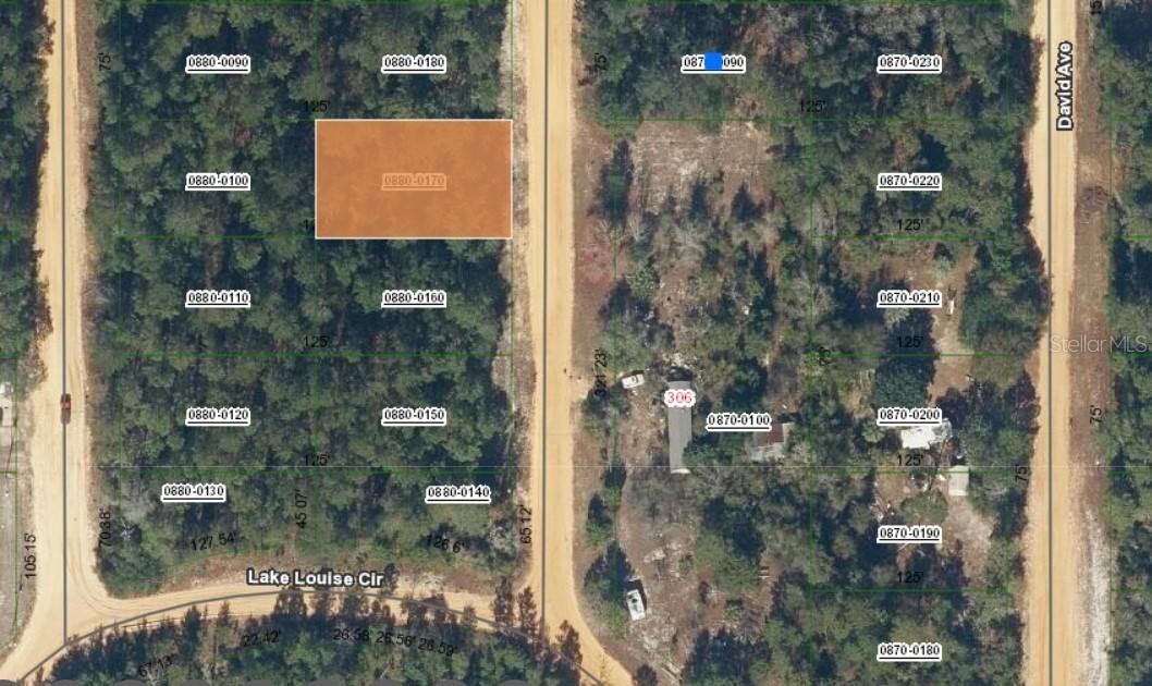 Lot 17 Theresa Ave., Interlachen, FL 32148