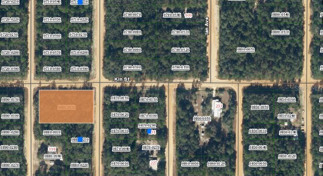 TBD Theresa Ave., Interlachen, FL 32148
