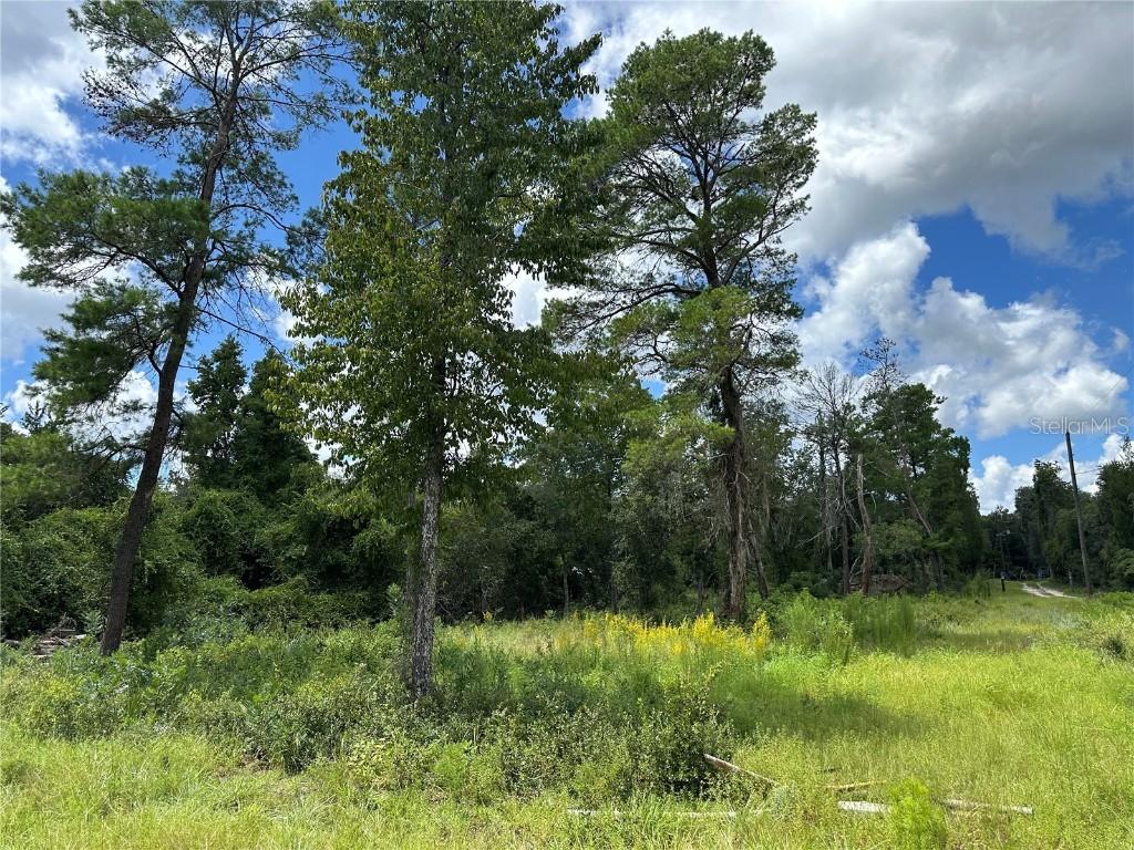 16308 & 16322 NE 154th Ln., Fort Mc Coy, FL 32134