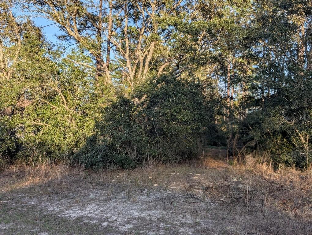 8949 N Lansen Way, Citrus Springs, FL 34433