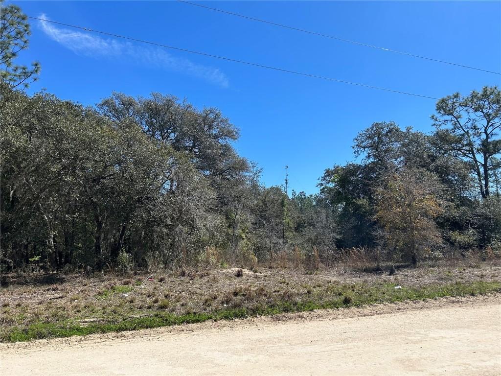 2061 SE 150th Ave., Morriston, FL 32668