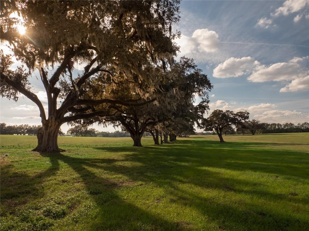 12894 NW Gainesville Rd., Reddick, FL 32686