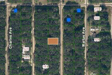 Annette Ave., Interlachen, FL 32148