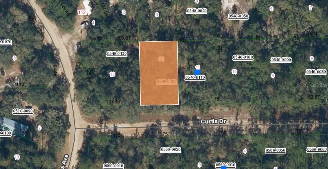 00 Curtis Dr., Interlachen, FL 32148
