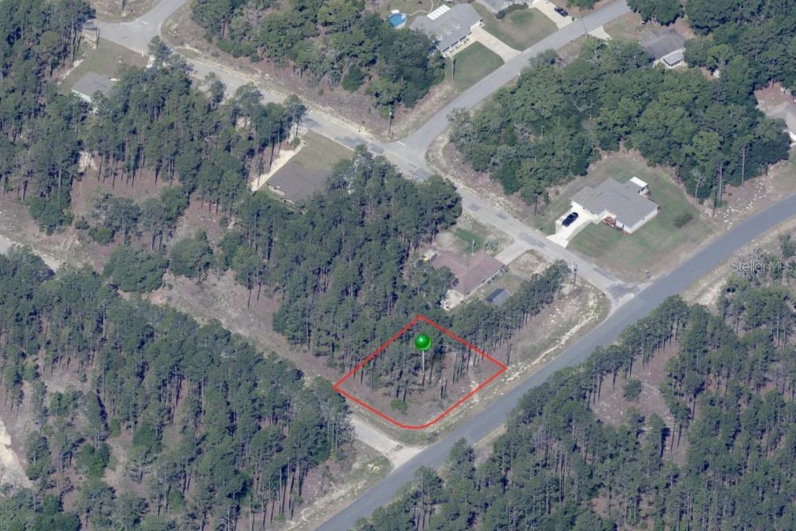 11001 N Letterwood Way, Citrus Springs, FL 34434