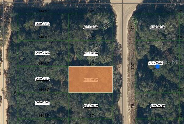 Annette Ave., Interlachen, FL 32148