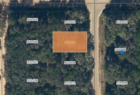 Annette Ave., Interlachen, FL 32148