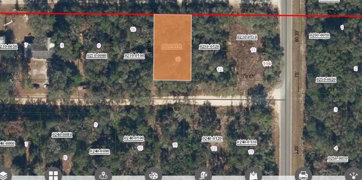 00 Saddle Tr., Interlachen, FL 32148