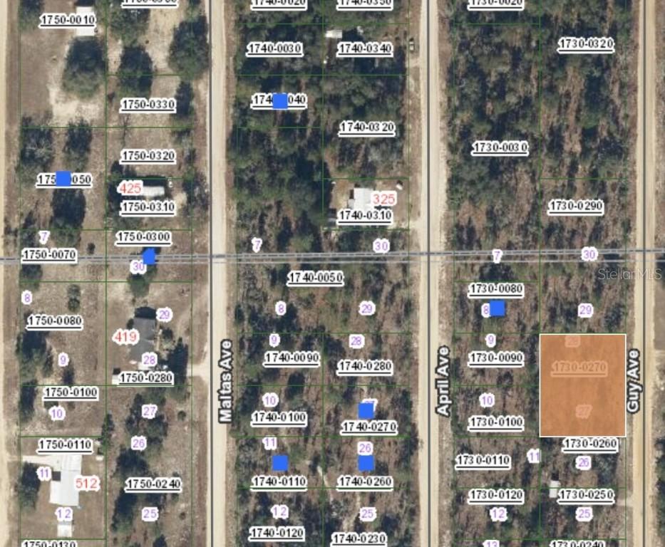 00 Guy Ave., Interlachen, FL 32148