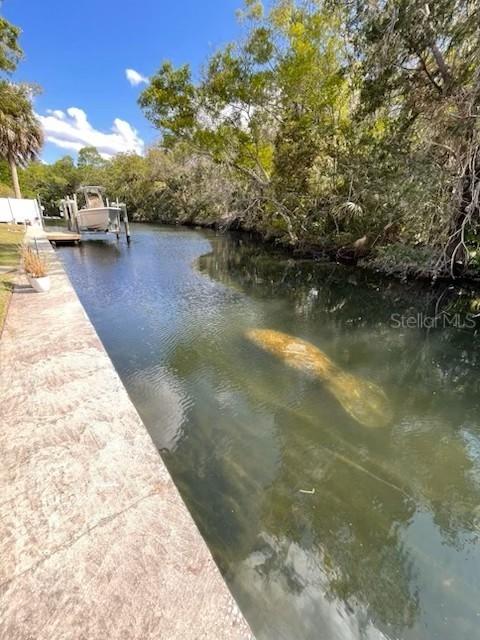 2160 N Watersedge Dr., Crystal River, FL 34429