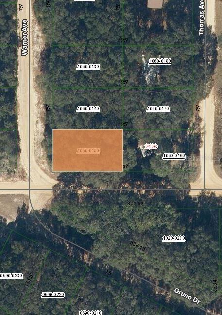 00 Denise St., Interlachen, FL 32148