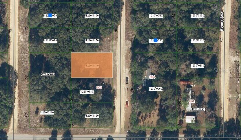 905 Janet Ave., Interlachen, FL 32148