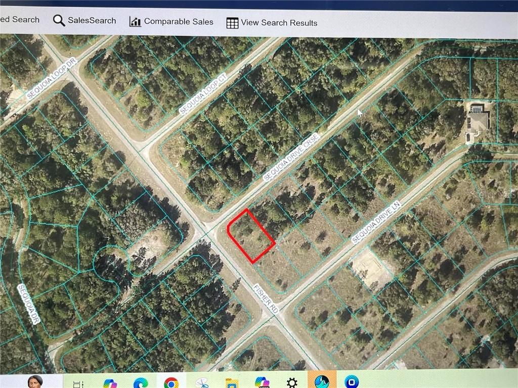 TBD Sequioa Drive Course, Ocklawaha, FL 32179