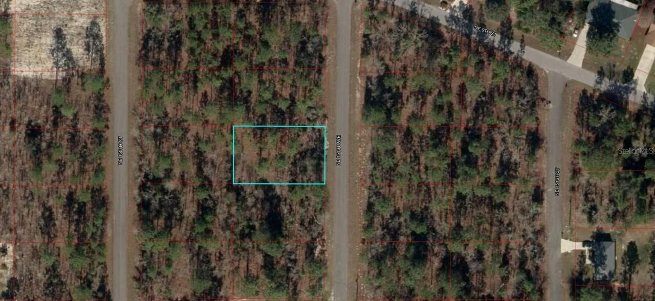 Lot 3 NE 151st Ave., Williston, FL 32696