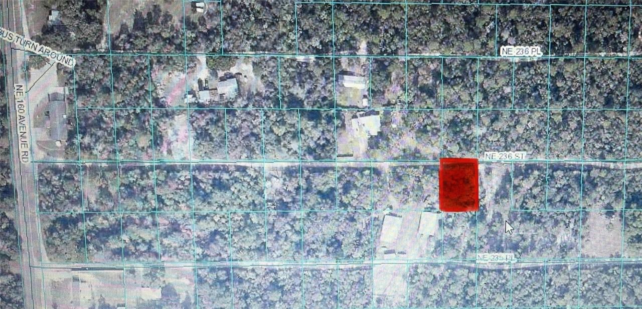 TBD NE 236th St. #RD #10, Fort Mc Coy, FL 32134