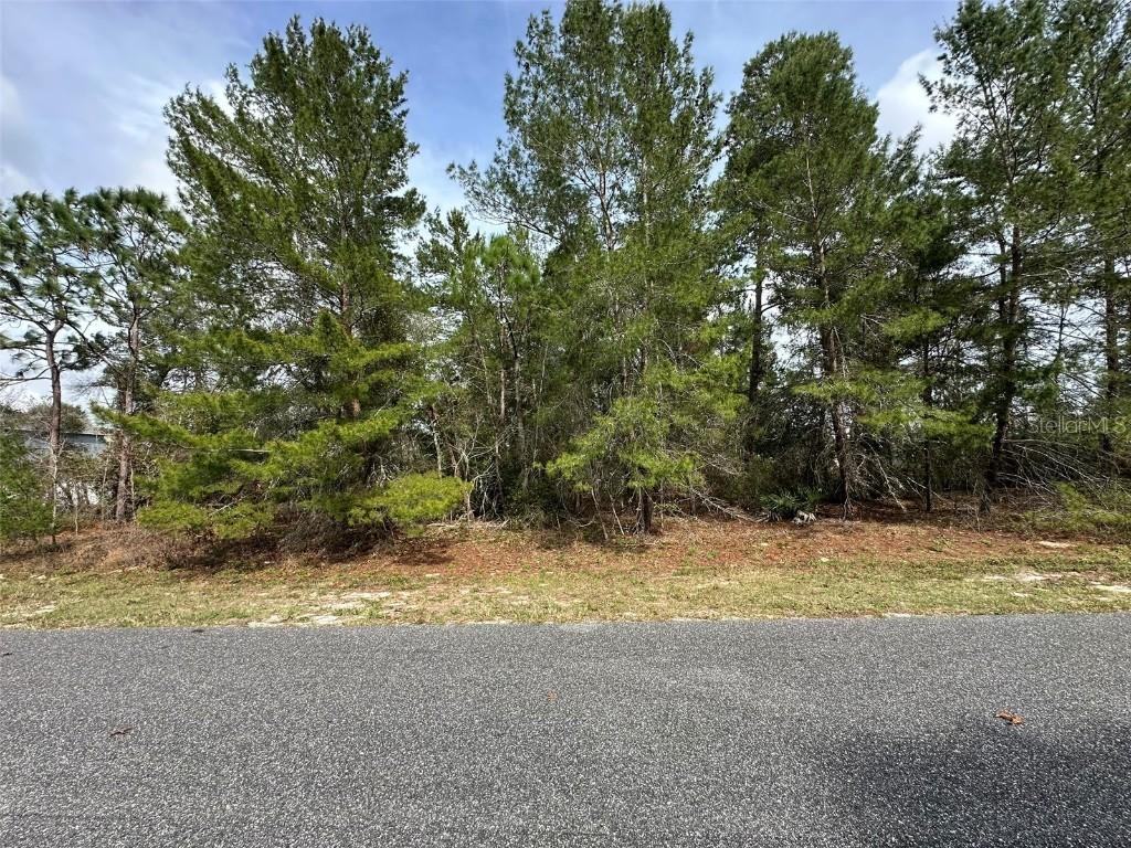 SW 110th Ln., Ocala, FL 34476