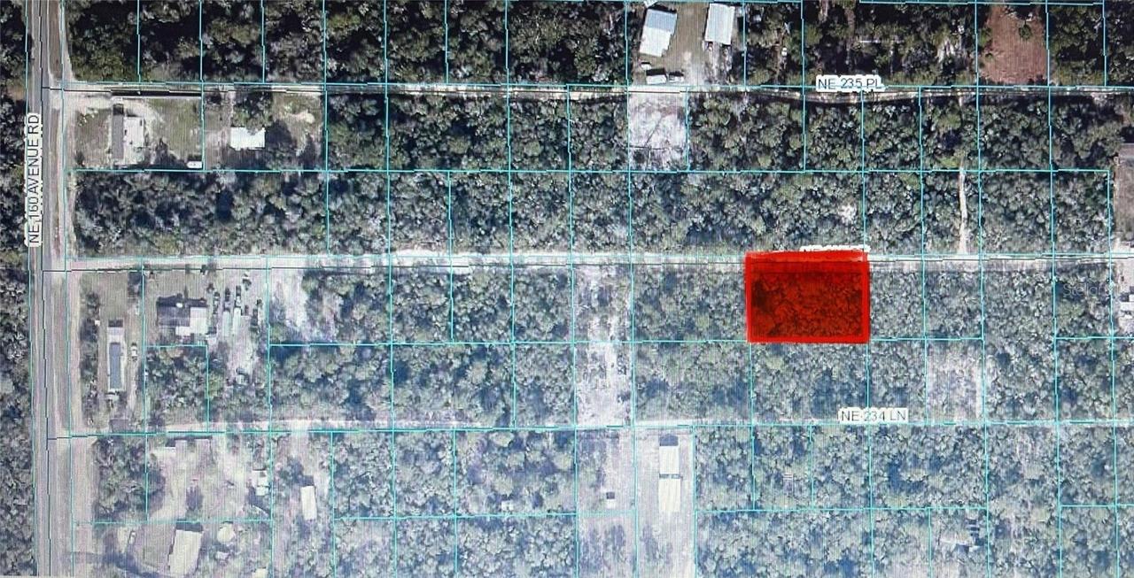 TBD NE 235th St. #ROAD #12, Fort Mc Coy, FL 32134