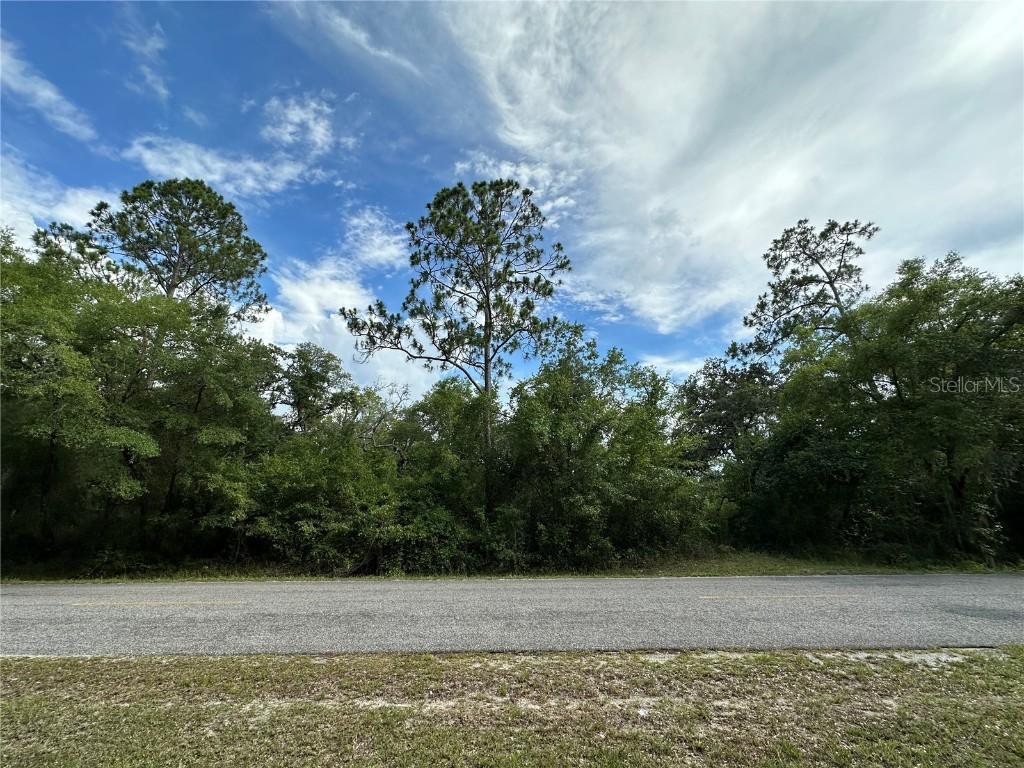 TBD NE 220th St., Fort Mc Coy, FL 32134