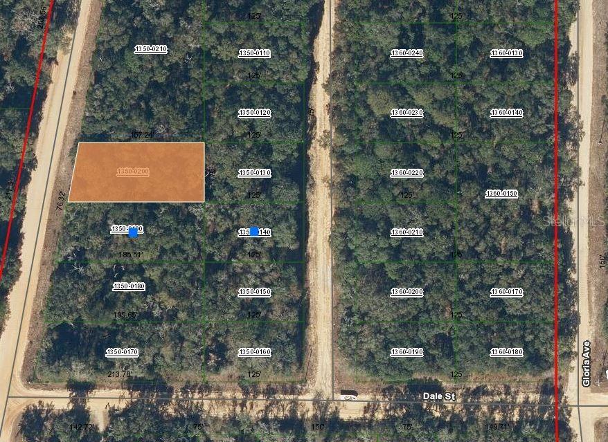00 Walker Dr., Interlachen, FL 32148