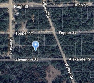 00 Alexander St., Interlachen, FL 32148