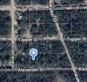 00 Alexander St., Interlachen, FL 32148