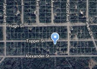 00 Topper St., Interlachen, FL 32148