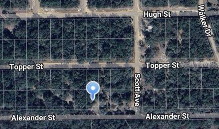 Alexander St., Interlachen, FL 32148
