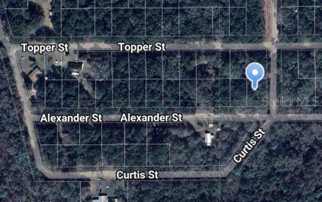 Alexander St., Interlachen, FL 32148