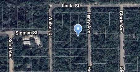 Henry Ave., Interlachen, FL 32148