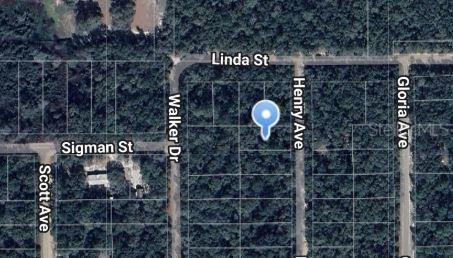 Henry Ave., Interlachen, FL 32148