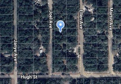 Joel Ave., Interlachen, FL 32148